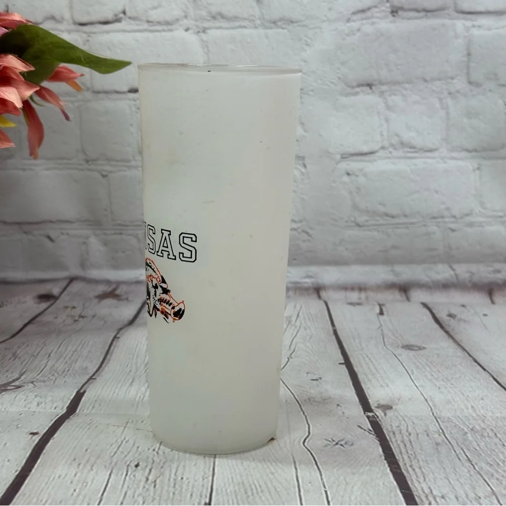 vintage Arkansas razorback Frosted Tumbler fandom collegiate football university